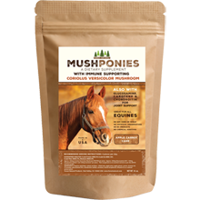 MushPonies Horse Cakes With Coriolus Versicolor Mushroom - On Backorder